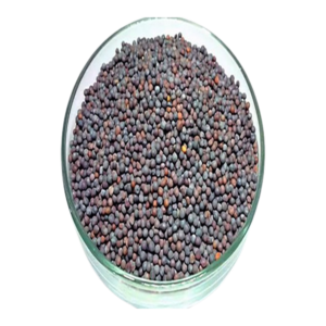 ఆవాలు100g