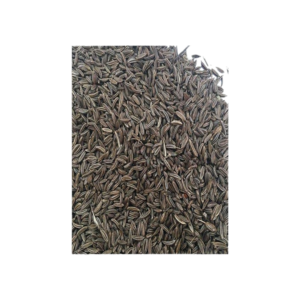 సాజీర20g